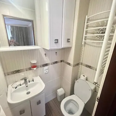 Cosy Lodge Polyana (Transcarpathia)